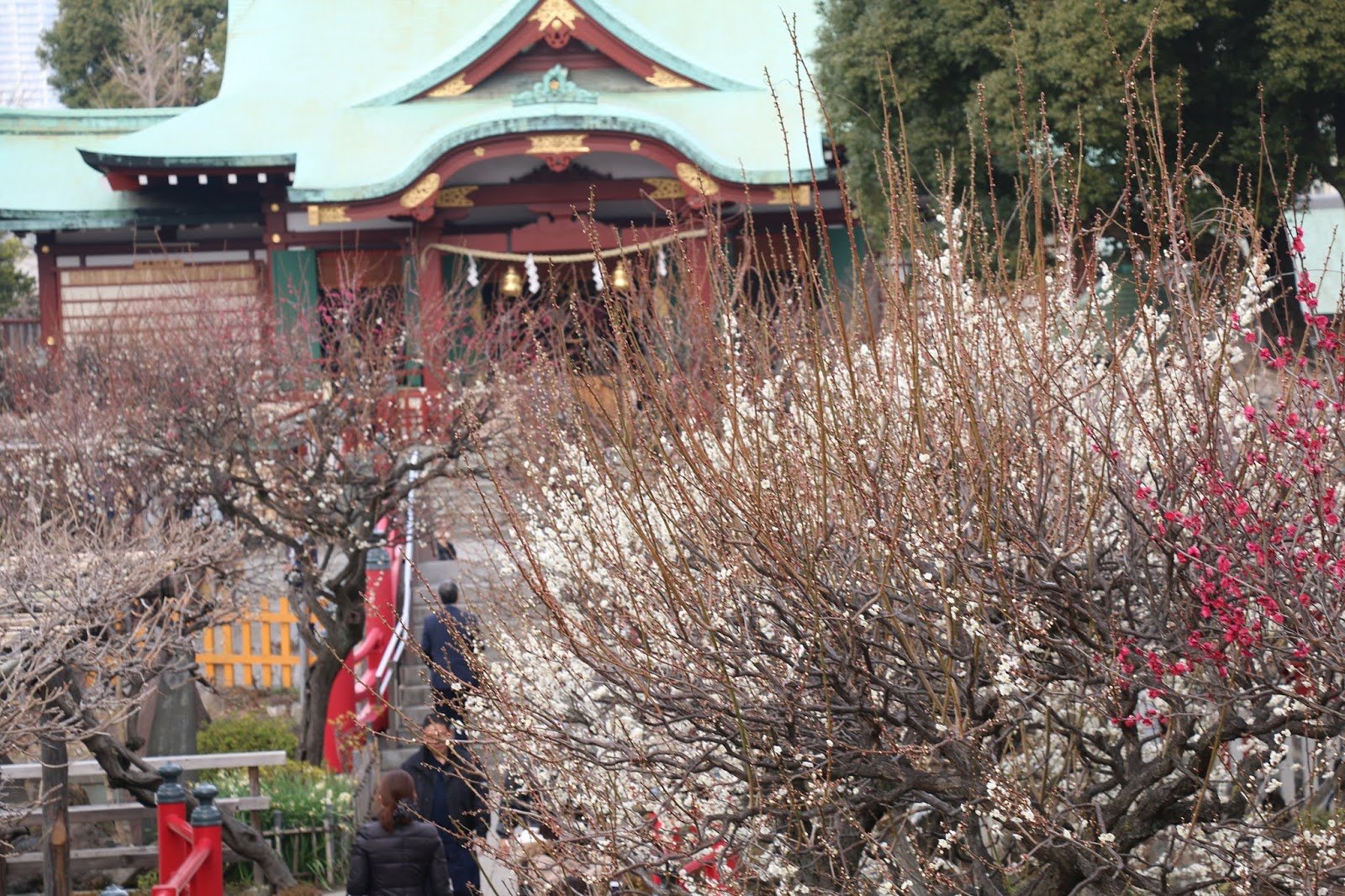 ⛩️ 스가와라 신사 (스가와라 진자) 이미지 8